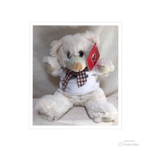 KIWANIS CLUB COLLECTIBLE PLUSH TEDDY BEAR STUFFED - Picture 3 of 9